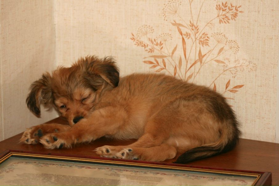 №124, Ксения Калиновская, Москва, Россия №124, Ксения Калиновская, Москва, Россия