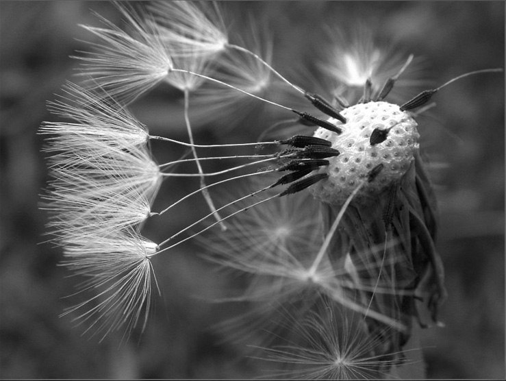 Александр Евсеенко | Кингисепп