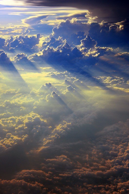 Анастасия Лисиенкова | Москва