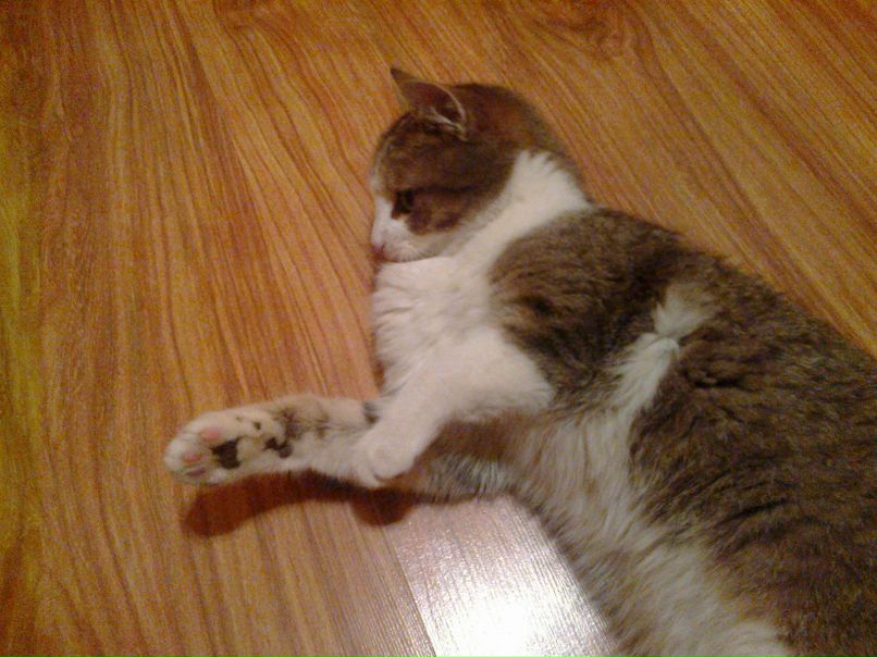 Марина Самборская | Wien