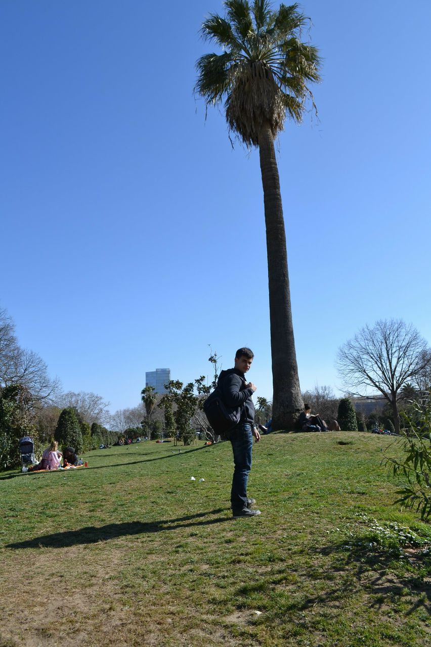 Роман Николаенко jd | Сумы