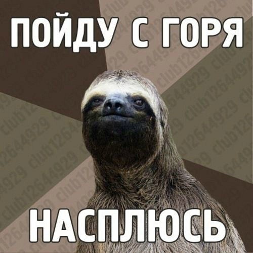 Анастасия Мелконян | Киров