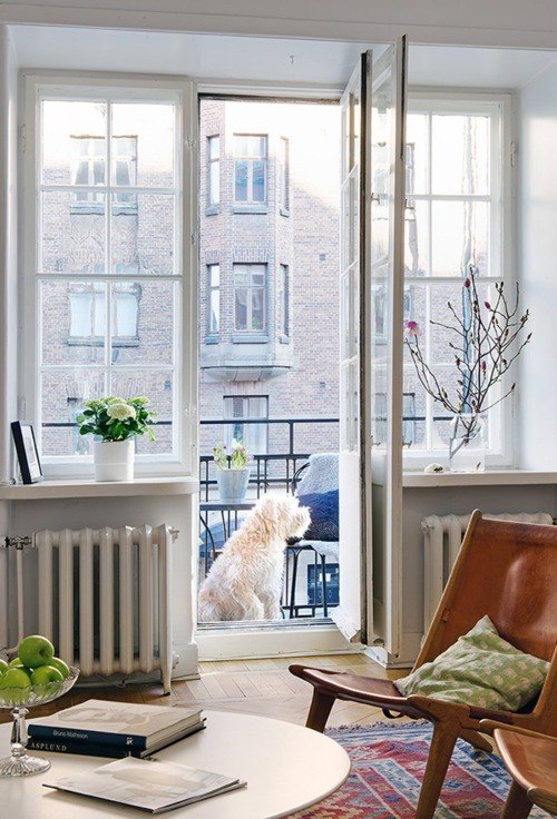 Евгения Словачевская | 