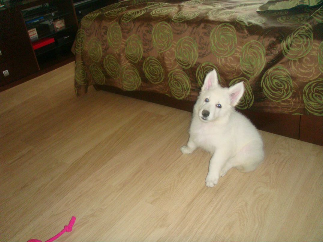 Влад Якубовский | Ивано-Франковск