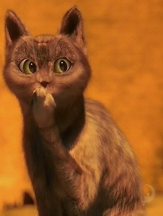 Арина Воробьёва | Новосибирск