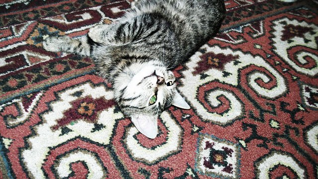 Артем Каримов | Стерлитамак