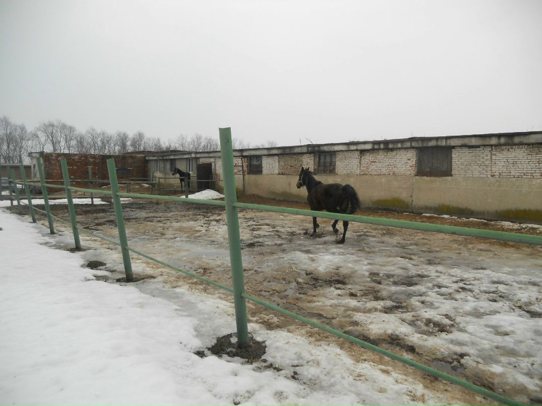 Таисия Медведева | Мытищи