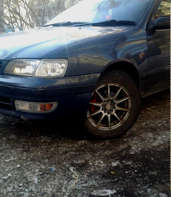 Alex Protsman ®　―助け | Новосибирск