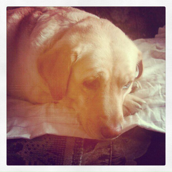 №103, Александр Бронников №103, Александр Бронников