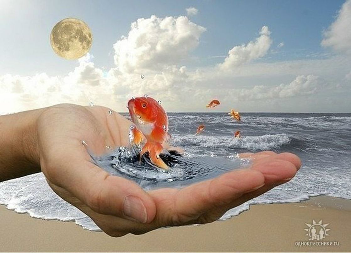 Маргарита Хуснутдинова | 