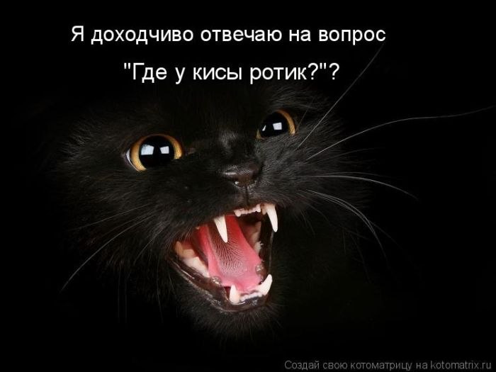 Ольга Крылова-Кузьмина-Неманова | Архангельск