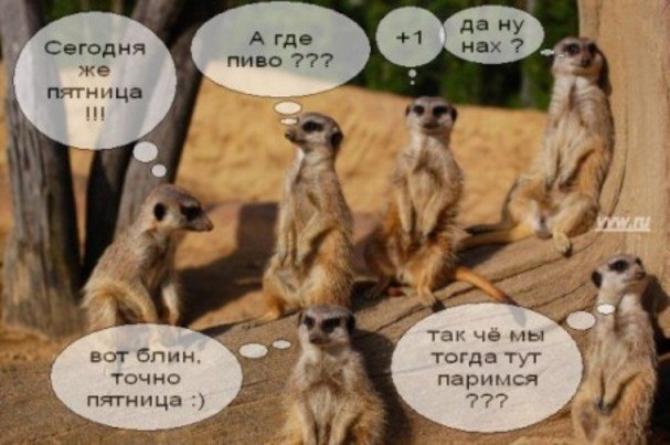 Лариса Антипкина | Подпорожье