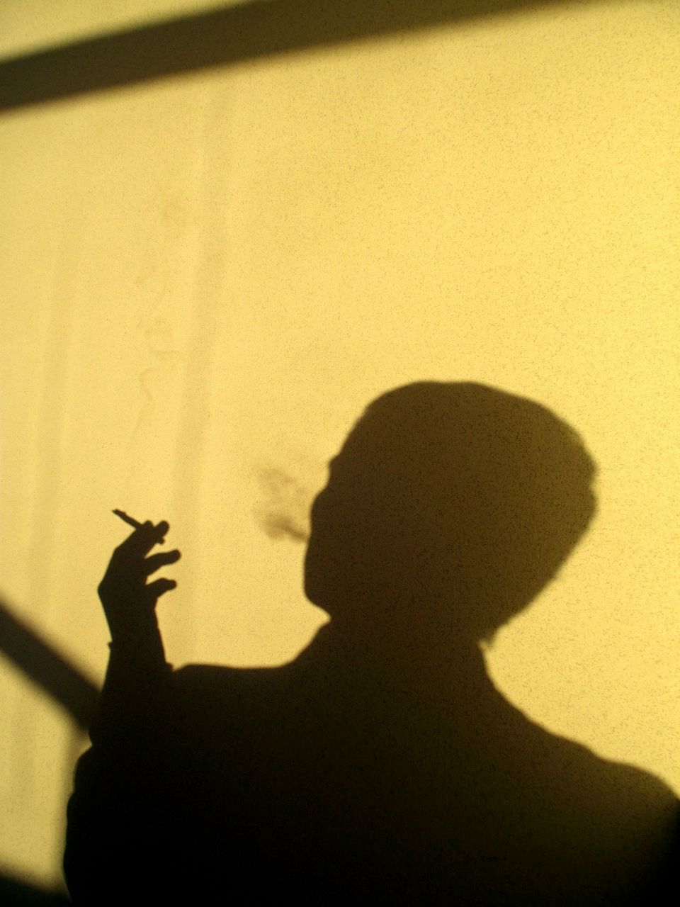 Дмитрий Мекрюков Владимирович | Санкт-Петербург