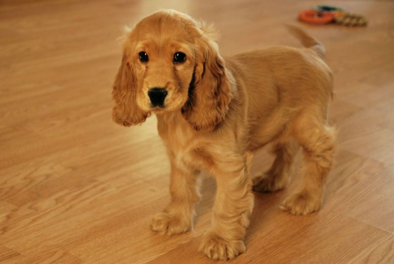 Арина Пеннонен | Espoo