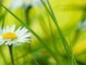 Юська Смышникова | Киев (деревня)