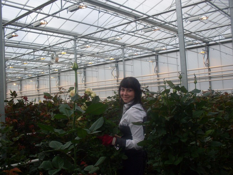 Людмила Яковлева | Пушное