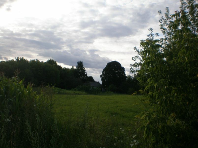 Олеся Куляс | Гайсин