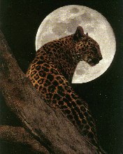 Елена Миронова | Санкт-Петербург