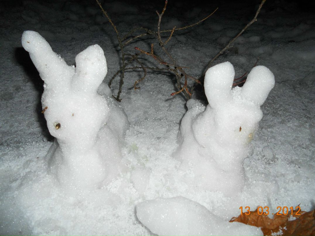 Владимир Барковский | Санкт-Петербург