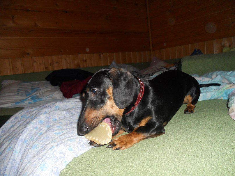 Софья Романовская | Санкт-Петербург