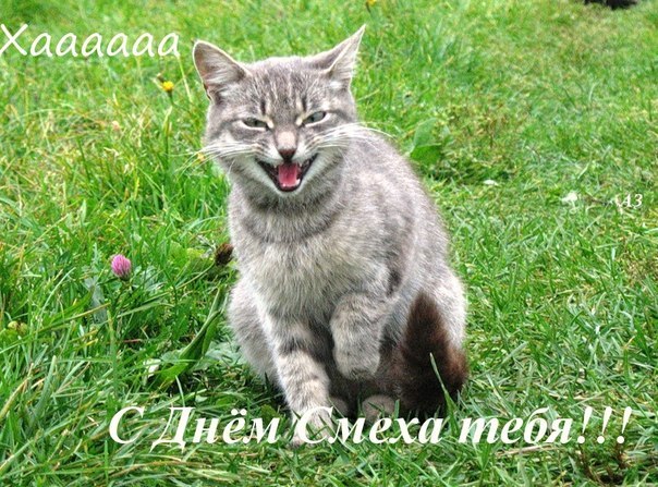 №11, Анна Гапонова №11, Анна Гапонова