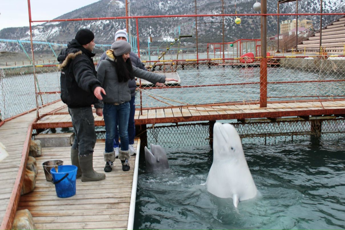 Юлия Воробьёва | Анапа