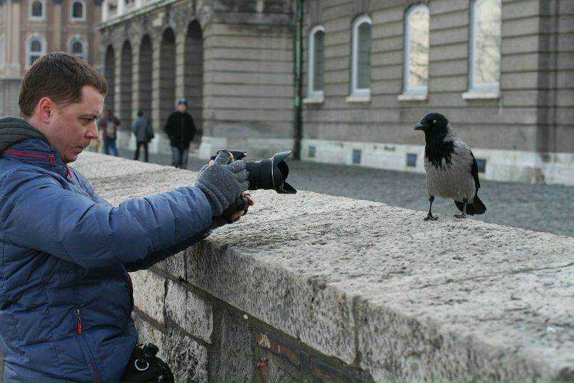 Артур ... | Москва