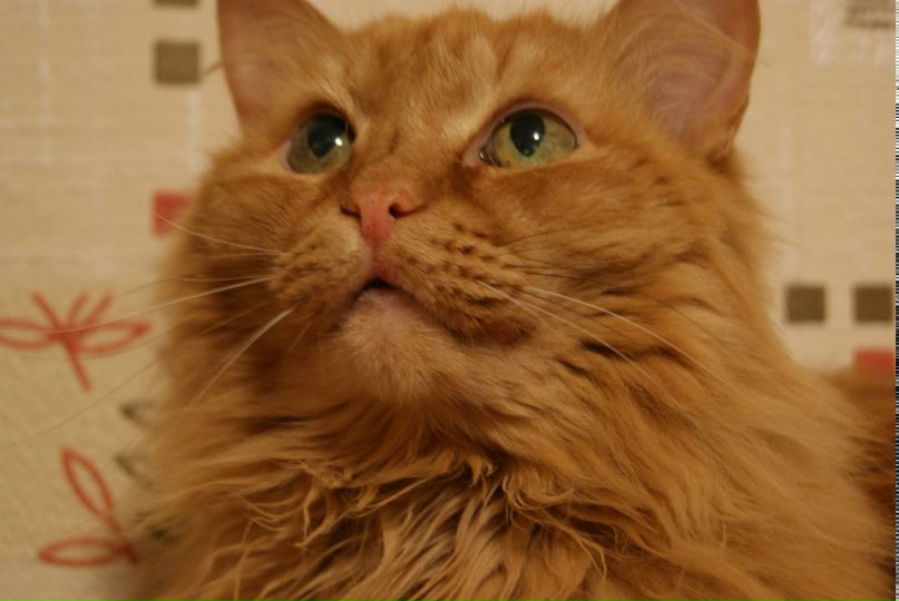 Ольга Квашнина | Курган