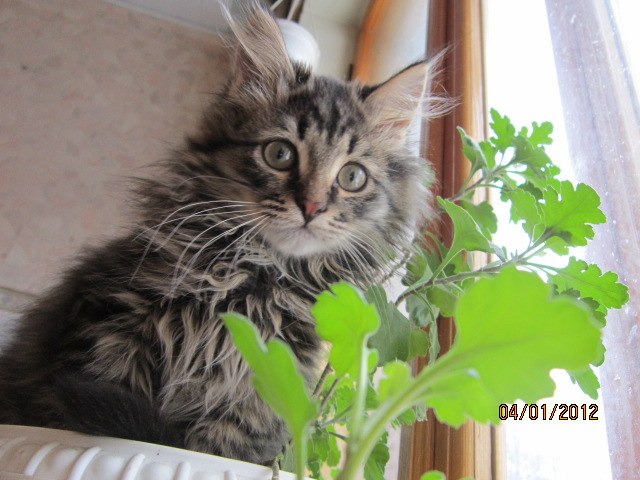 Александр Селиверстов | Калуга