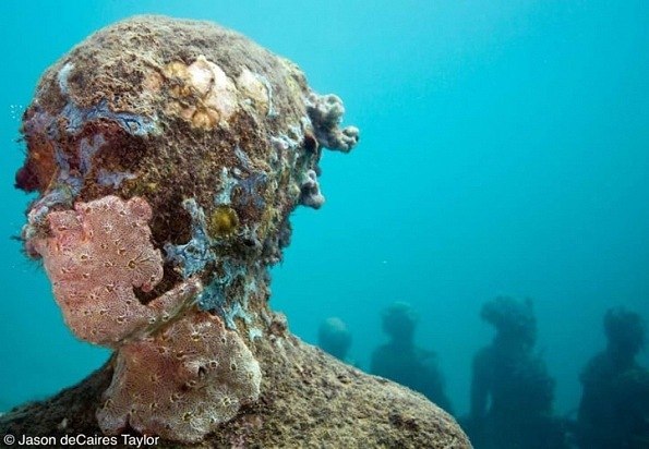 Никита Элхон | Санкт-Петербург