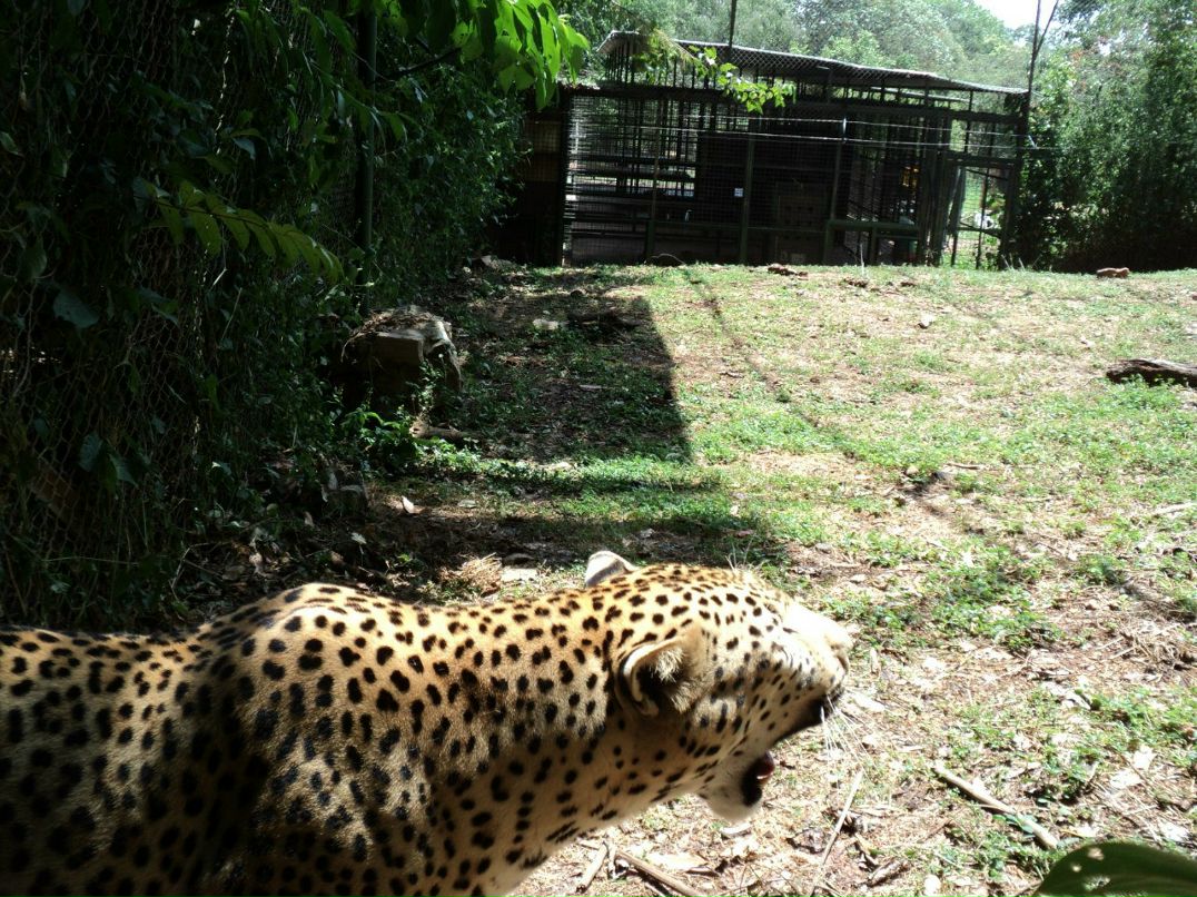 Сергей Дидух | Броды