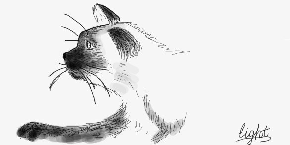 Светлана Дузькрятченко | 