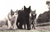 №12 Владимир Косенко : профиль, фото, статус - ВКонтакте №12 Владимир Косенко : профиль, фото, статус - ВКонтакте
