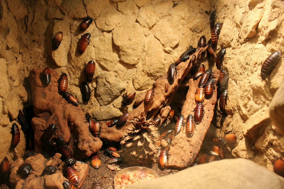 Кирилл Смирнов | Санкт-Петербург