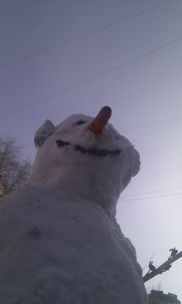 Евгения Бутакова Pangeya | Новосибирск