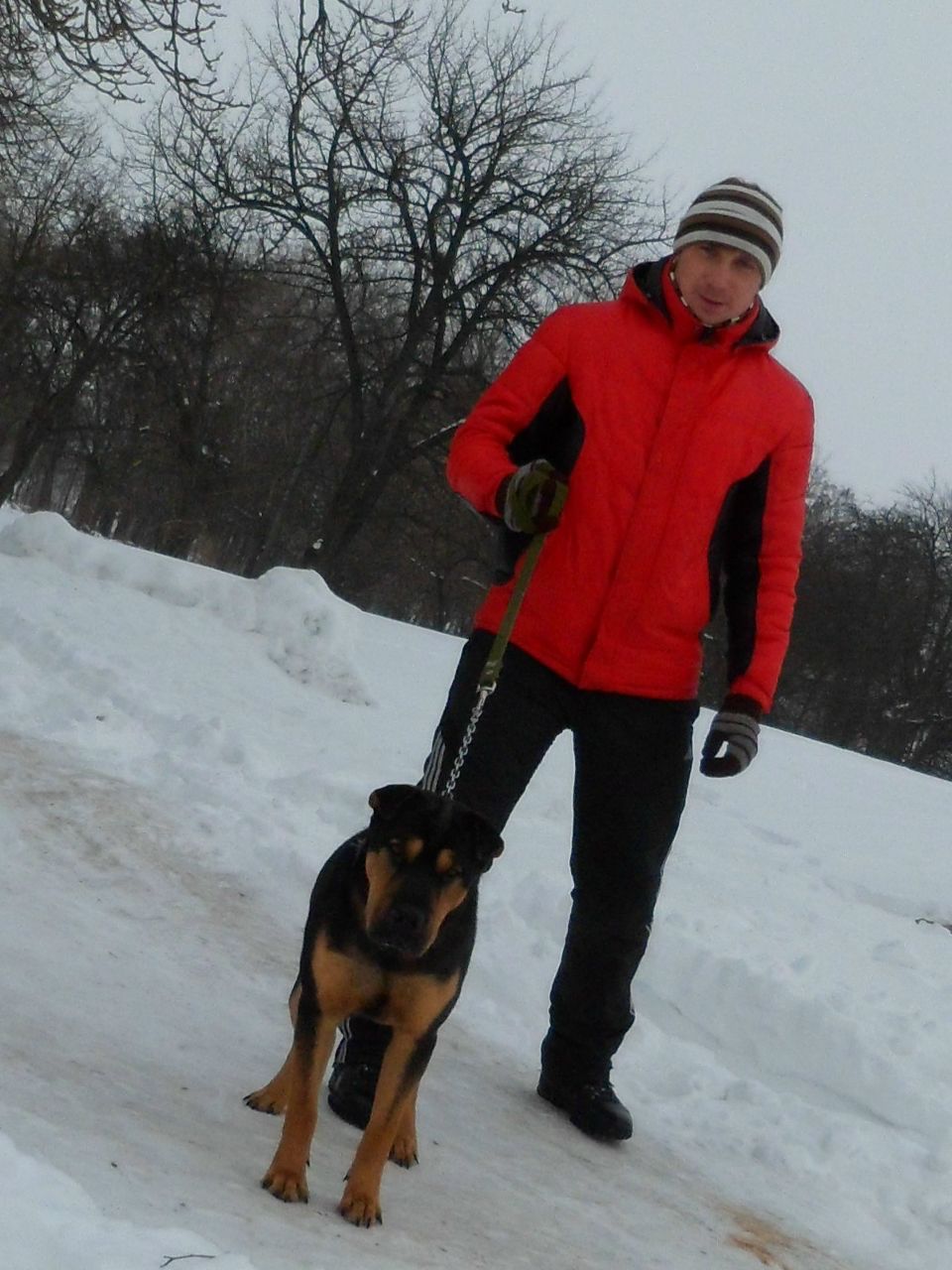 Олександр Лісовий | Verona