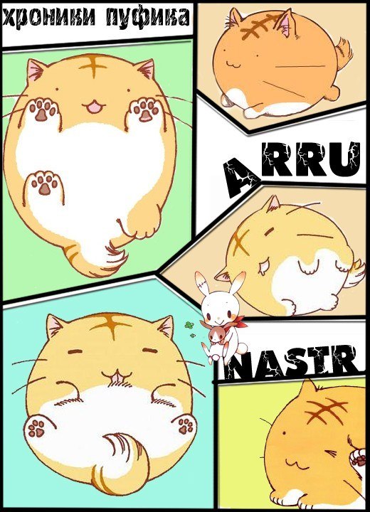 Надежда Веселова | Нижний Новгород