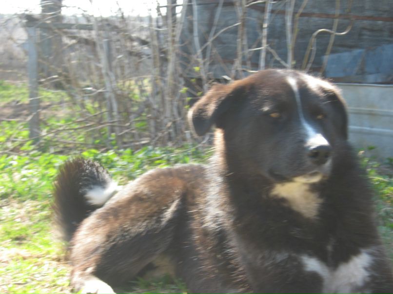 Александр Гаврилов S.t.a.l.k.e.r | Цевло