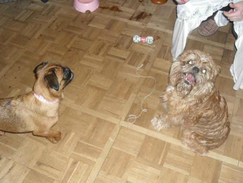 №61, Елена Леонова, 45 лет, Санкт-Петербург №61, Елена Леонова, 45 лет, Санкт-Петербург