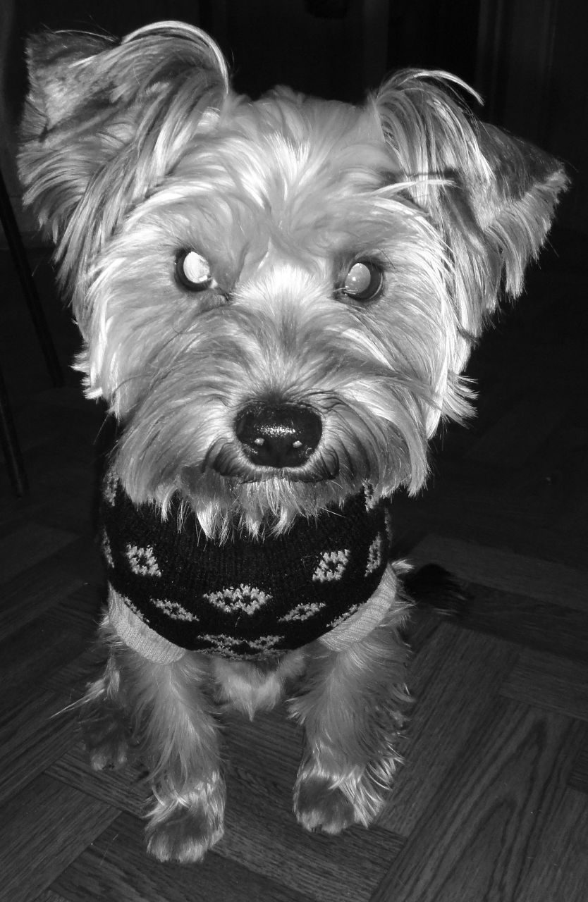 Алиса Алексеева ☆シ☆ | Санкт-Петербург