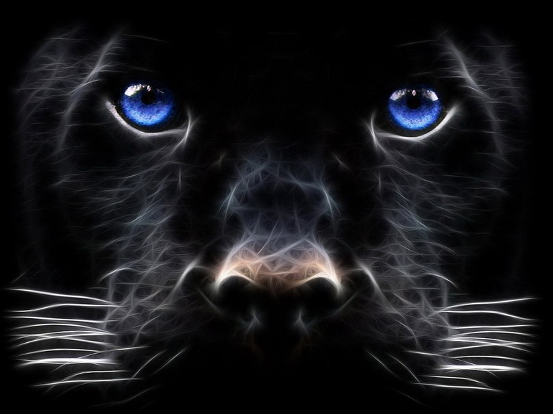 Оля Голубова | Санкт-Петербург