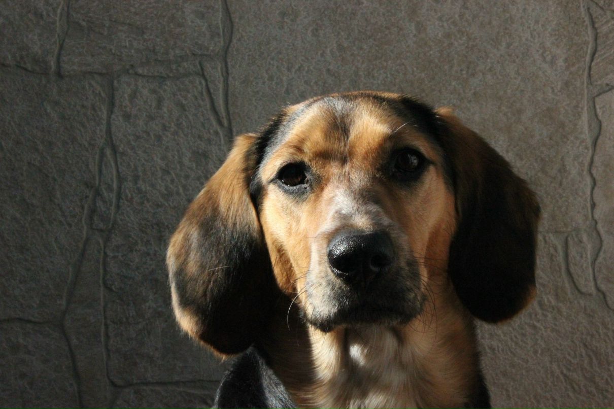 Егор Помогайкин | Санкт-Петербург