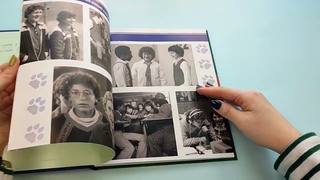 Очень странные дела. Выпускной альбом: Все о школе Хокинса