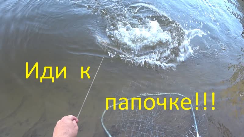 Дикая рыбалка, один в