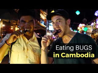 Eating BUGS in Siem Reap, Cambodia (WARNING: Graphic)