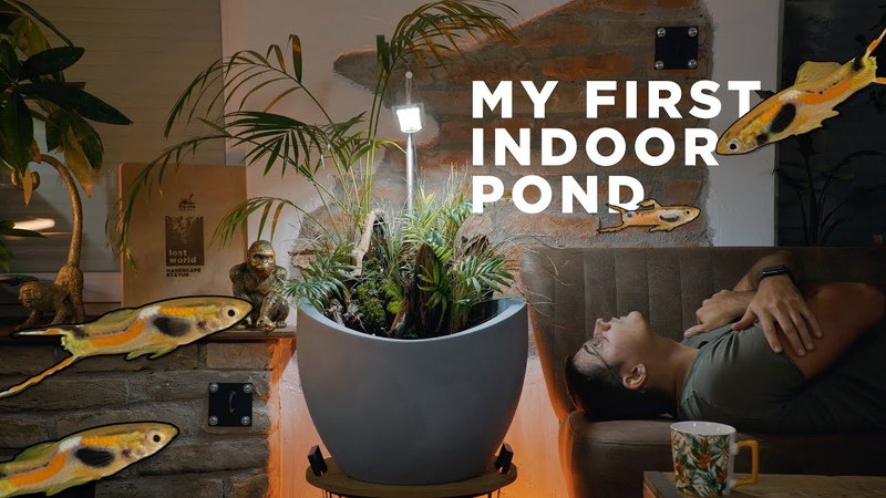 My first INDOOR POND Step by Step