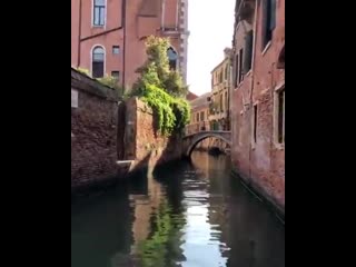 Venecia/Italia