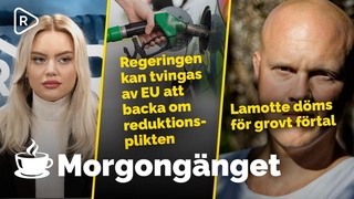 Morgongänget: Lamotte döms för grovt förtal | Regeringen kan tvingas backa om reduktionsplikten?
