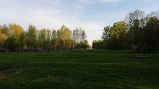 Майское пение птиц в Полянске