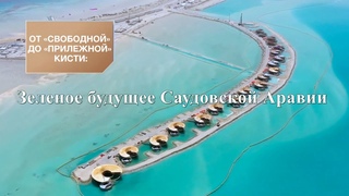 Зеленое будущее Саудовской Аравии